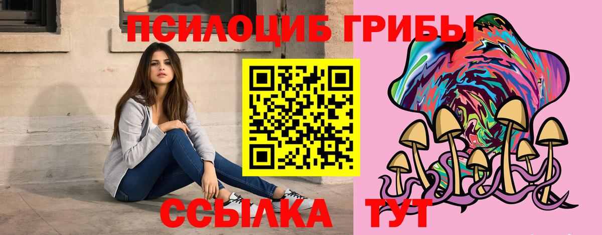 Стерлитамак  Галлюциногенные грибы мицелий  купить  цена  Галлюциногенные грибы прущие грибы  Вход с VPN 