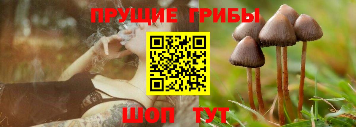 Бошки Шишки  Вход с VPN  НБОМе  Стерлитамак  ГАШ  Гашиш  МАРИХУАНА  МЕФ кристаллы 